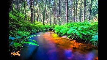 تلاوة من اجمل التلاوات للقارئ الشيخ فارس عباد بجودة عالية ( ولقد يسرنا القران للذكر)