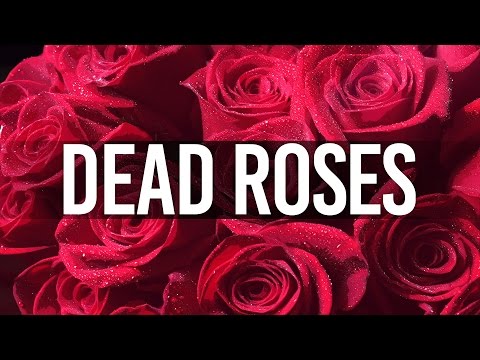 love-rap-beat---romantic-love-rap-beat---dead-roses-(prod.-ins-beats)