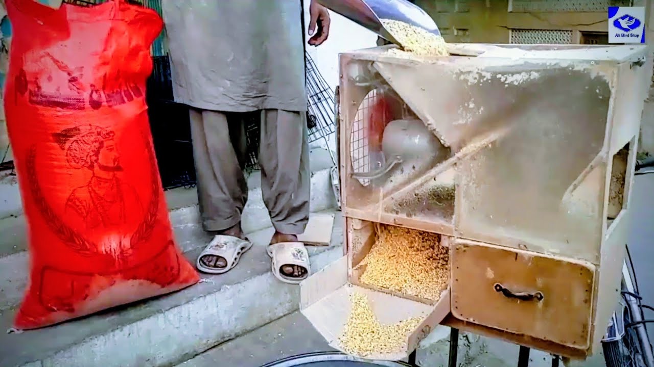 Kabootar Feed Cleaning Machine Ka Magic! 🔥 Aise Saaf Dana Kabhi Nahi Dekha | Ali Bird Shop