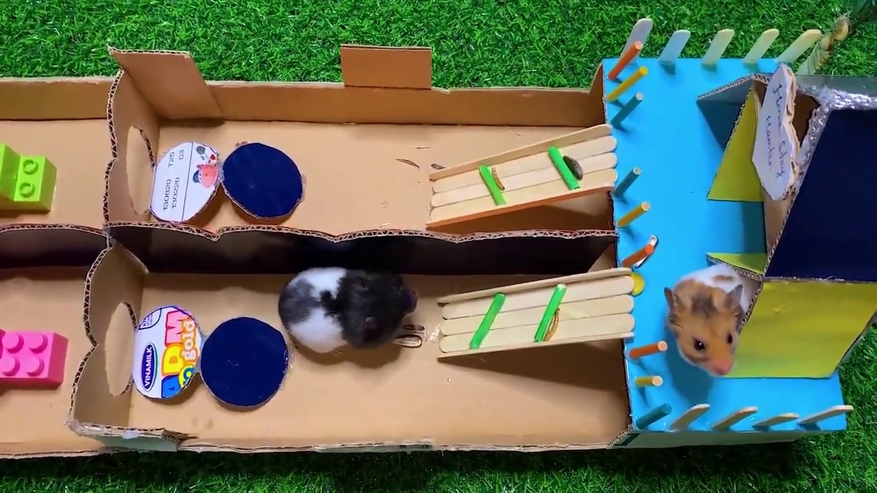 hamster maze made out of cardboard