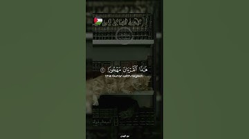 ✨️{ فانّك باعيننا } !🇵🇸🍉#قرآن #اكسبلور #تلاوة_خاشعة #islamic #المصحف #فلسطين#غزة#fyp #palestine