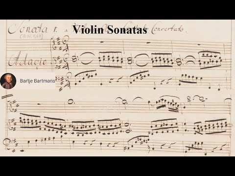 その他 Violin Sonatas 51WFE09K4GL._UF1000,1000_QL80_.jpg