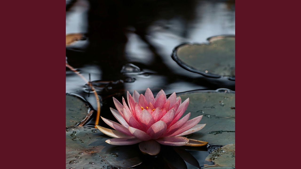 Lilac Pavilion Season