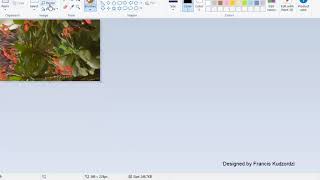 How to resize a picture and increase the pixels in Paint