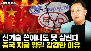 AI, 전기차 잘 나가도 앞길이 캄캄. 중국 경제 손쓸 수도 없게 망가졌다 ⎹ 강준영 교수 2부