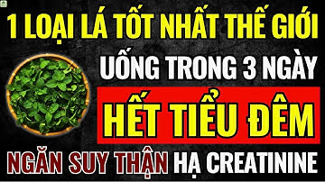 Người Cao Tuổi: Dùng 1 LOẠI LÁ Dân Gian Này HẾT TIỂU ĐÊM, Ngăn Suy Thận, Hạ Creatinine, Ngủ Ngon!