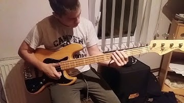GOT BASS CHOPS !? (Mladenovic Milan)