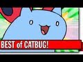 Best of catbug  bravest warriors on cartoon hangover