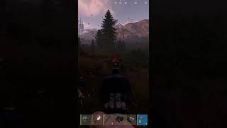 LES ABEILLES !! x) #rust #clips