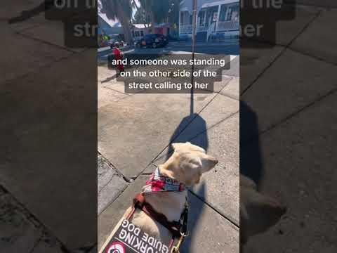 Video: Kaķis Cīņa pret Lisa Vanderpump sūdzas par suni Labdarības krāpšanu