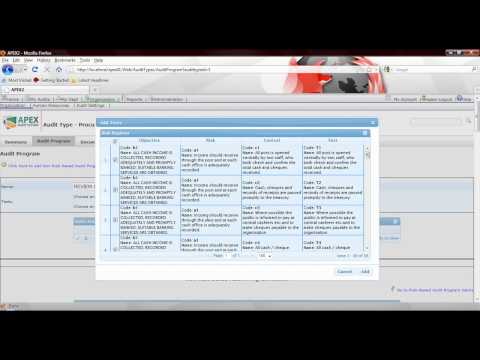 APEX: Audit Software