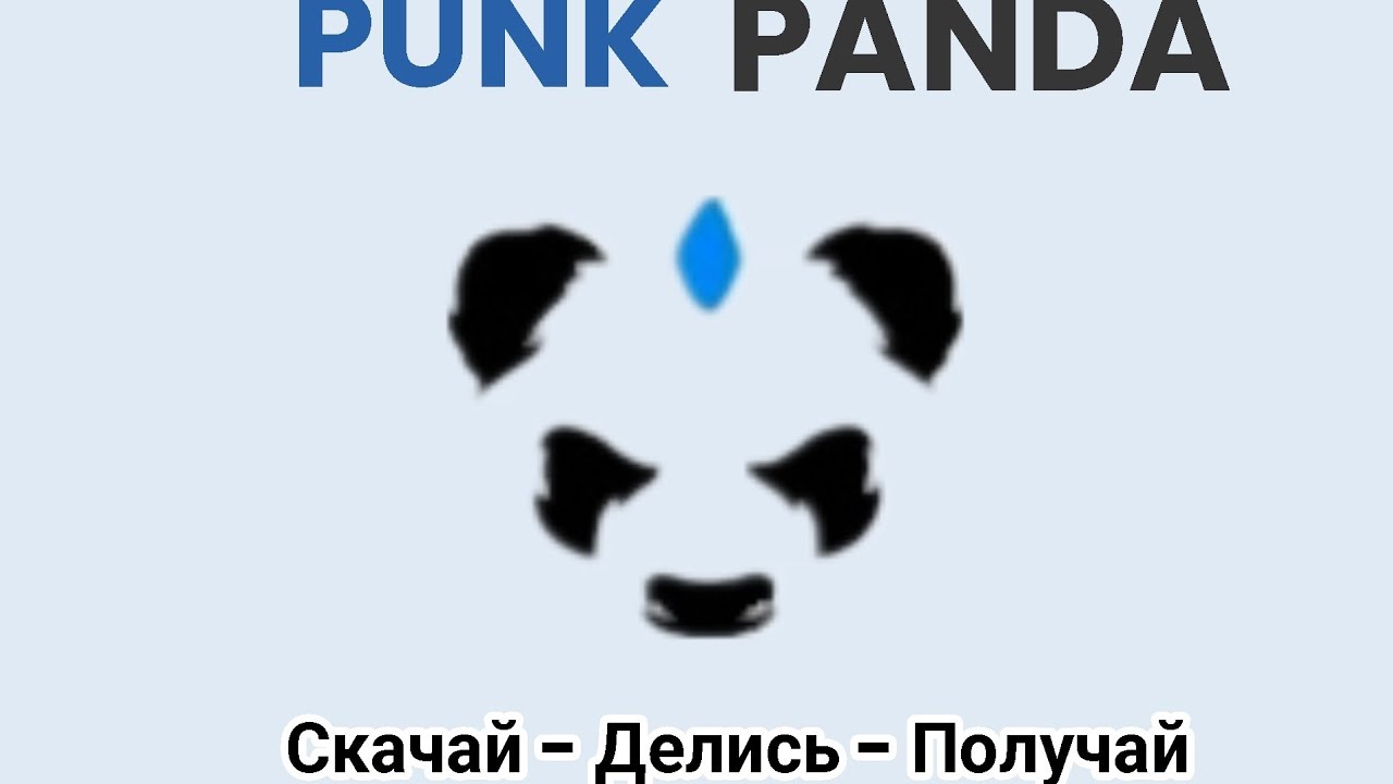 Новости Панк Панда