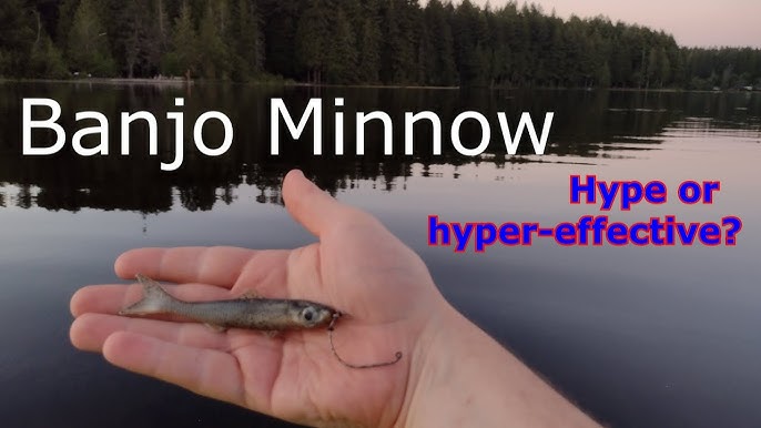 How to fish the NEW As Seen On TV Banjo Minnow (Does it actually work?) 