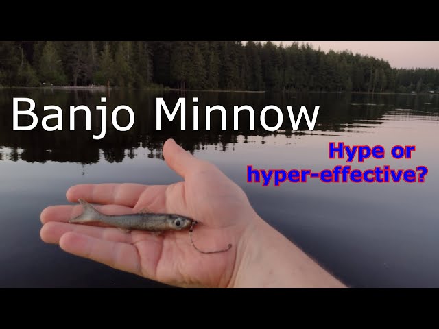 Banjo Minnow: Hype or Hyper-Effective? 