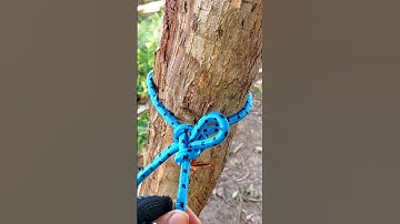 This way you can use to tie a hammock knots#knottutorial #easyknot #bestknots #knotskill