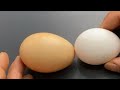 RAW EGG PEELING - Moha melo
