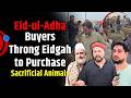 Eid-ul-Adha: Eidgah Srinagar Bustles as People Throng Market to Purchase Sacrificial Animals