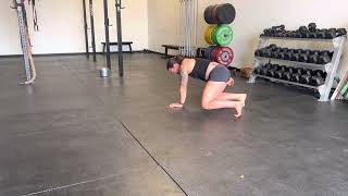 Single Arm Scap Push Up in Quadruped