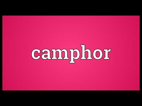 Kapur Meaning