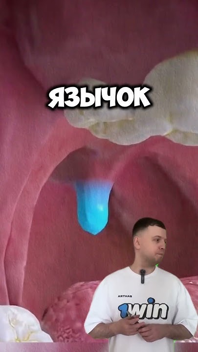 Для чего нужен язычок 🤔 - YouTube