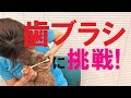 犬の歯ブラシ やり方（小型犬）【犬のしつけ＠横浜】by遠藤エマトレーナー