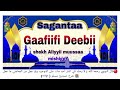 Gaafiifi Deebii Shek Aliyyii Muussa Mishiggii Kan Ddihaatuu Fajrulislaam Gaafiifi Deebii Shek Aliyyii Muussa Mishiggii Kan Ddihaatuu Fajrulislaam