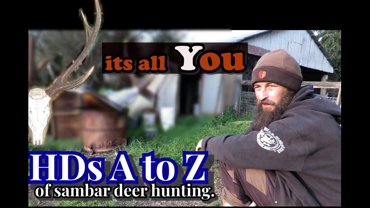 HDtv A to Z of Sambar Hunting Australia YouTube