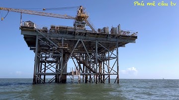 Câu cá Hồng gặp em cá bớp quá đã/Jigging for red snapper and Cobia