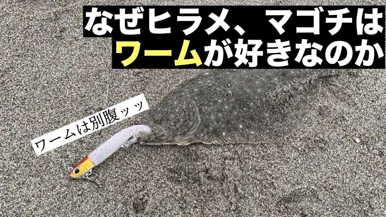 【サーフ】なぜヒラメ、マゴチはワームが好きなのか