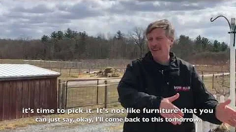 Kevin Bowman of Bowman Orchards Discusses the Grow...