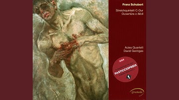 Overture in C Minor, D. 8a