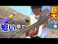 ショアジギングでこの時期から狙える平たい魚が釣れた！！