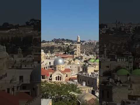 بعضي وكلي محمد غندور القدس ورد 