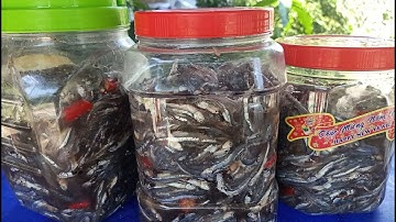 MUỐI MẮM CHUA CÁ CƠM-dễ làm đúng vị miền trung/ nhịp sống quảng ngãi