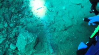 Dive 17. Dec 28th 2014. Capernwray Dive Centre, UK.