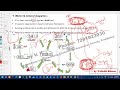 PT&PE using JMeter - Year-2025 - Day-39