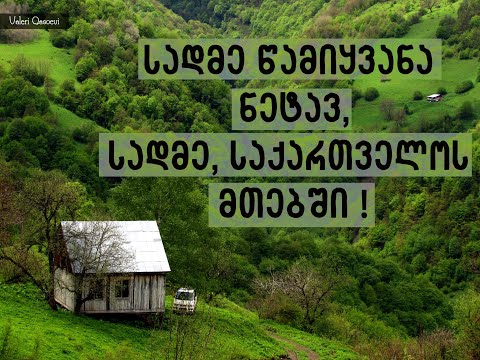 სადმე წამიყვანა ნეტავ - კახა ნოქარაშვილი || Sadme Wamiyvana Netav - Kaxa Noqarashvili