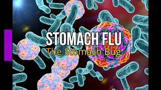 Stomach Flu The Stomach Bug