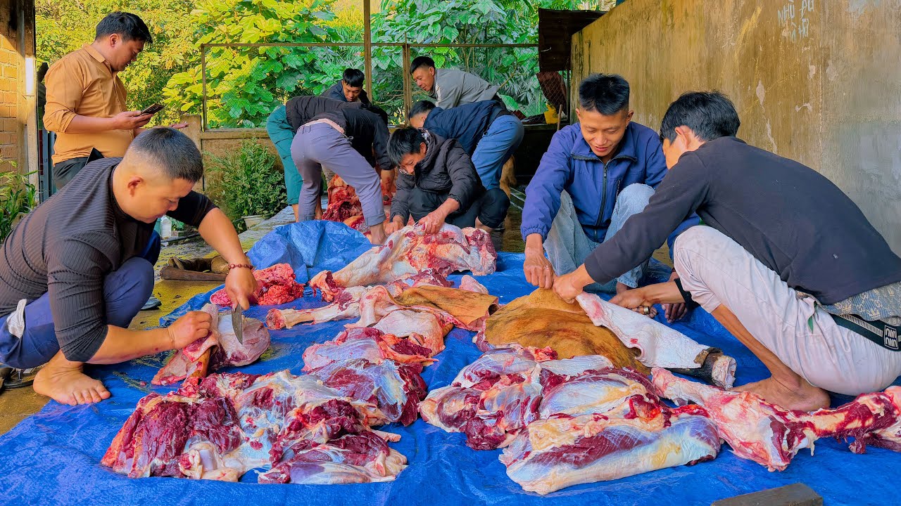 TẾT NGƯỜI LA HỦ (T2) LÀM THỊT BÒ KHỦNG NẤU NỒI MIẾN DONG SÂM ĐẤT SIÊU TO ĐÃI TRẺ EM CẢ BẢN ĂN TẾT