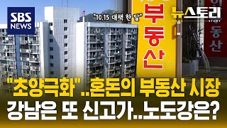 "서울 집값 급한 불 껐다" vs "거래 마비..실수요자 타격" | SBS 뉴스토리