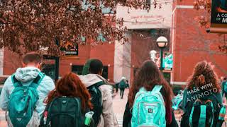 The Night Orchid Book Trailer #2