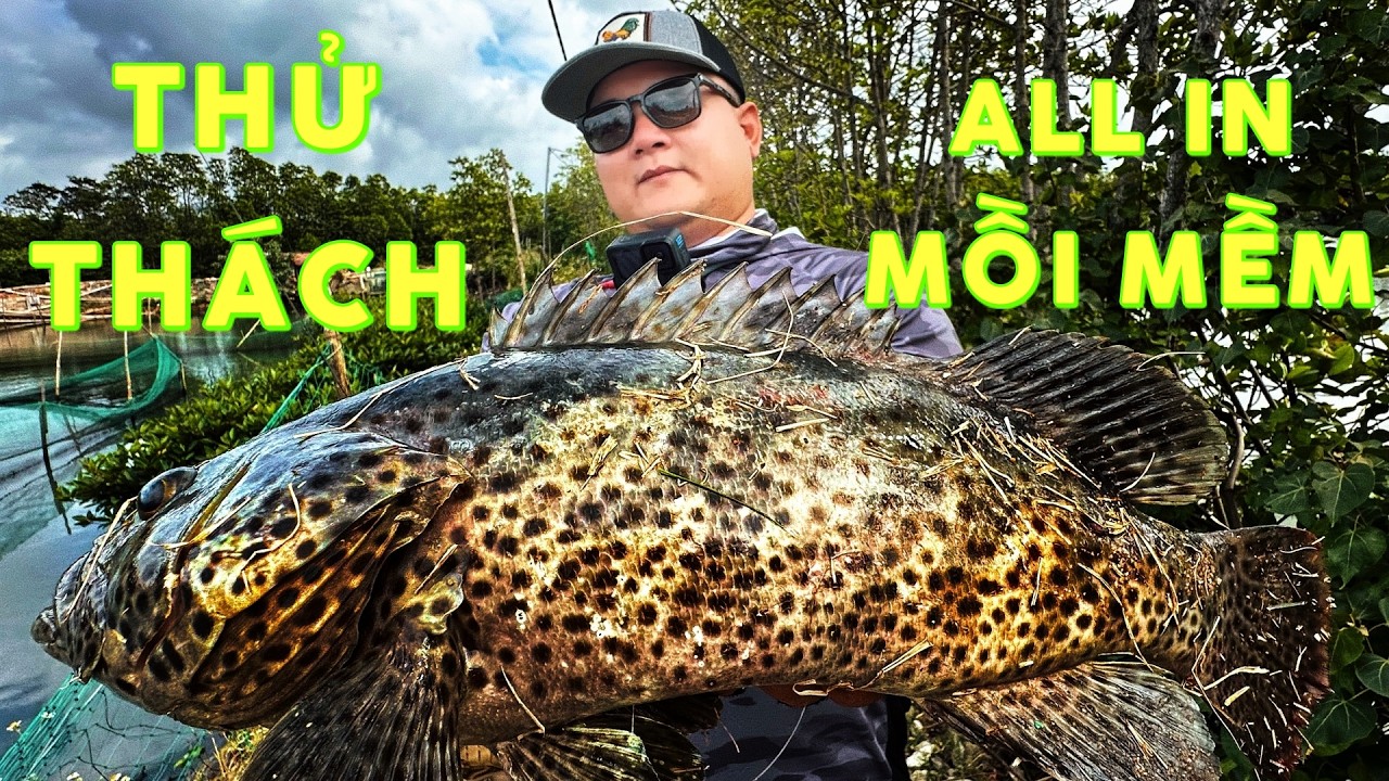 Câu Lure Mồi Mềm – Thử Thách Ở Quy Nhơn Bình Định Khi Quên Hết Mồi Cứng!