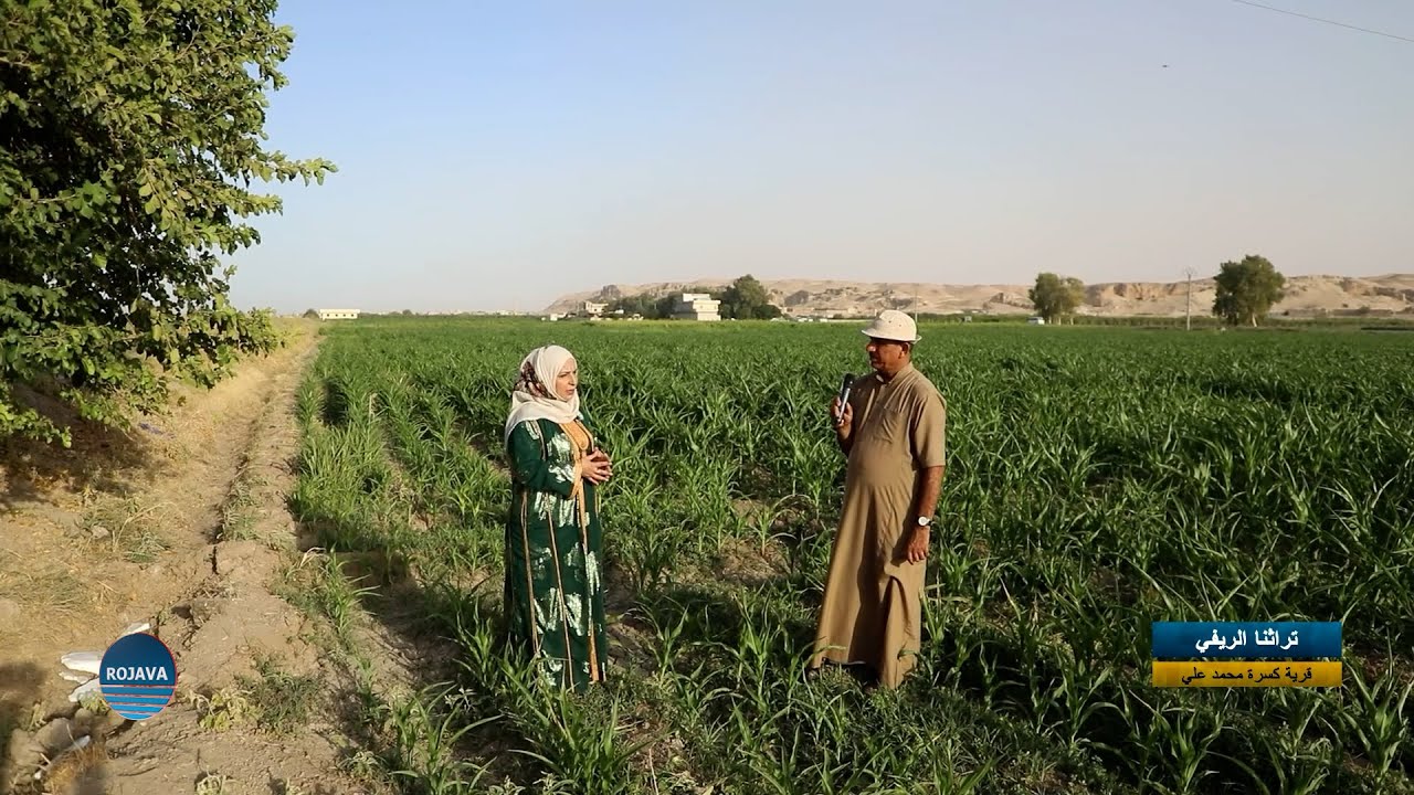 تراثتا الريفي || قرية كسرة محمد علي بريف الرقة ||  29-8-2025