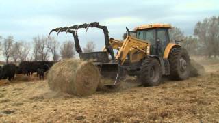 Beef checkoff-funded programs helps producers share their story with consumers