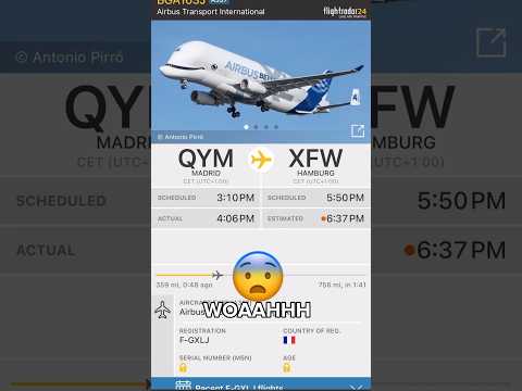 Beluga XL spotting