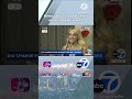 Britney Spears charged in California with driving under influence. #TTNWorld_TTD16 #ABC7Eyewitness