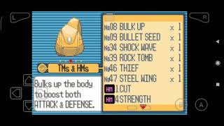 Pokémon Ruby - Fiery Path