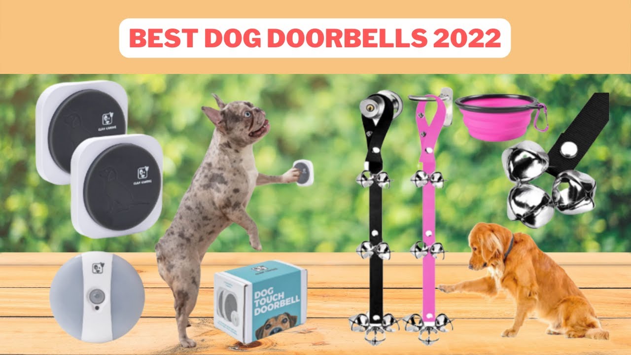 Best Dog Doorbells Dog Doorbells Reviews 2022 YouTube