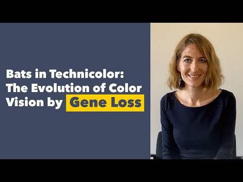 Alexa Sadier UCLA Bat Vision Evolution