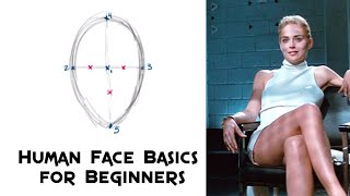 Famous Basics Instinct - Beginners' Guide to Basic Human Face Proportions (Front View) Net Worth